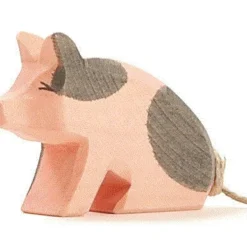 Ostheimer Ferkel Gefleckt Sitzend